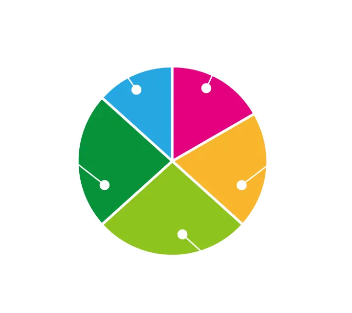 年齢分布。30代5名、40代6名、50代8名、60代7名、70代4名。